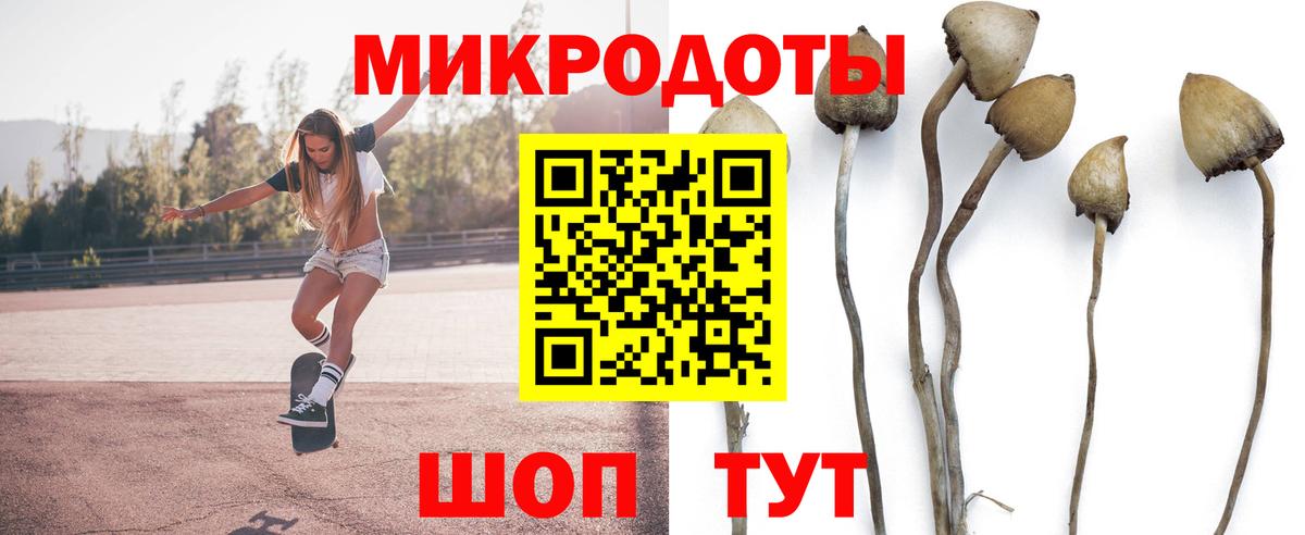 Псилоцибиновые грибы MAGIC MUSHROOMS  Вход с VPN  Рыбинск 