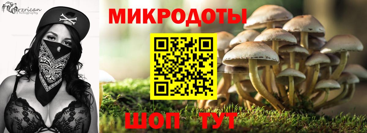 Галлюциногенные грибы Cubensis Рыбинск